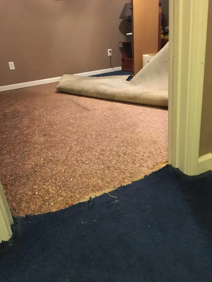 Carpet pad removal revealing water damage during Drying & Dehumidification in Akron